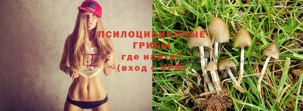 герыч Михайловск